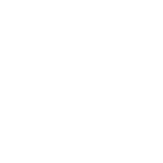 Modern Jetset